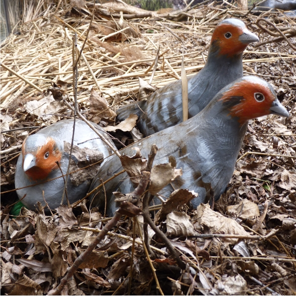 Statue di uccelli tipici della zona